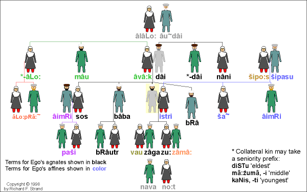 Saṇu-vîri Kinship Terms