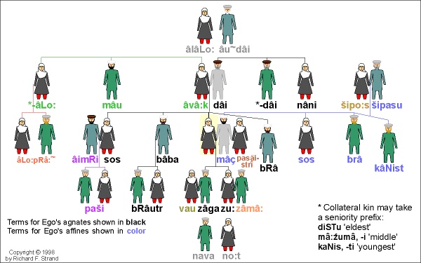 Saṇu-vîri Kinship Terms