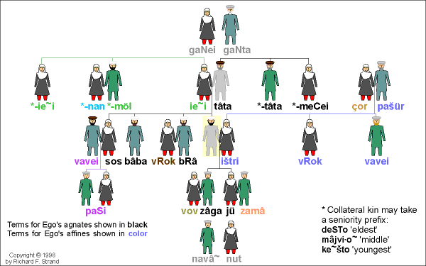 Ameš-alâ Kinship Terms