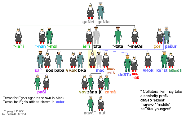 Ameš-alâ Kinship Terms