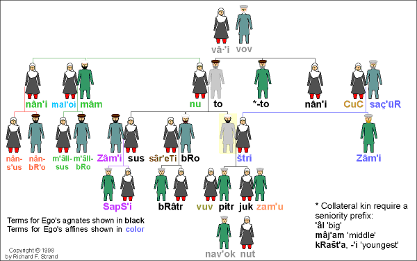 Kât′a-vari (Kt′ivi Dialect) Kinship Terms