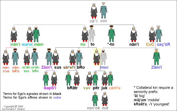 Kât′a-vari (Kt′ivi Dialect) Kinship Terms