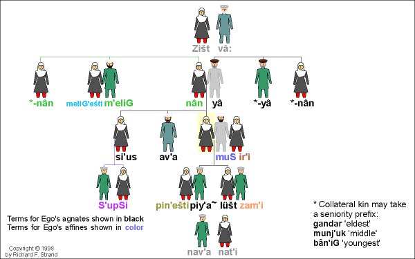 Ṣupu-vari Kinship Terms
