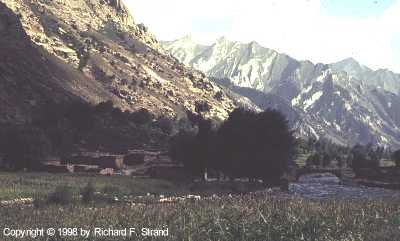 uṣʹüt